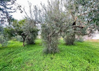 Foto 48 - Rustico C/da Fraginesi
 
snc, Castellammare del Golfo - foto 48