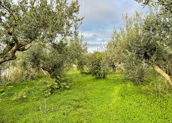 Foto 50 - Rustico C/da Fraginesi
 
snc, Castellammare del Golfo - foto 50