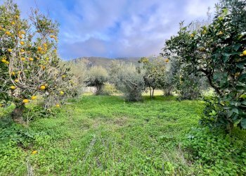 Foto 51 - Rustico C/da Fraginesi
 
snc, Castellammare del Golfo - foto 51