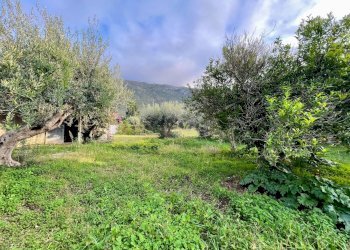 Foto 52 - Rustico C/da Fraginesi
 
snc, Castellammare del Golfo - foto 52