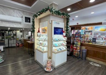 Interno non residenziale - Bar - Tobacco - Ricevitoria Torino (neighborhood Aurora) - photo 15