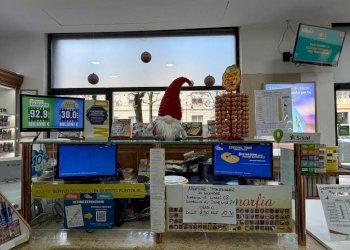 Interno non residenziale - Bar - Tobacco - Ricevitoria Torino (neighborhood Aurora) - photo 23