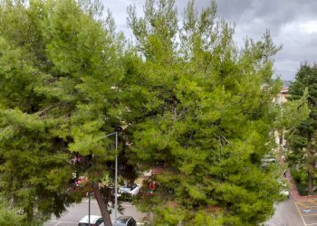 Foto 13 - Apartment Ascoli Piceno - photo 13