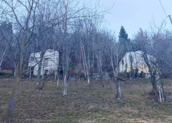 Terreno - Rustico via San Giuseppe, Roccaforte Mondovì - foto 9