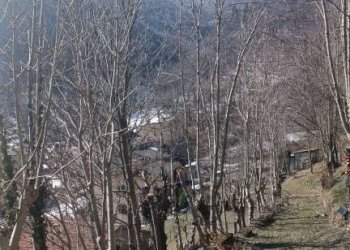 Terreno - Rustico via San Giuseppe, Roccaforte Mondovì - foto 20