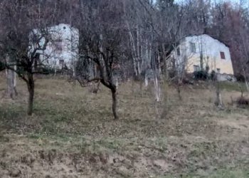 Terreno - Rustico via San Giuseppe, Roccaforte Mondovì - foto 24