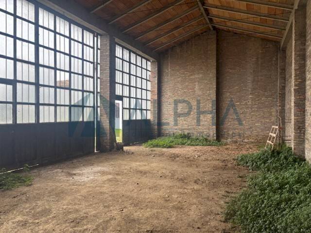 Interno palazzo - Magazzino via Navicella, Forlì - foto 2