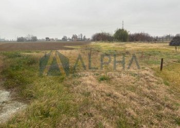 Terreno - Magazzino via Navicella, Forlì - foto 6