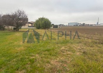 Terreno - Magazzino via Navicella, Forlì - foto 7