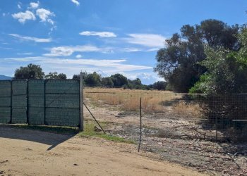 cancello d\'ingresso (2).jpg - Terreno agricolo Quartucciu - foto 4