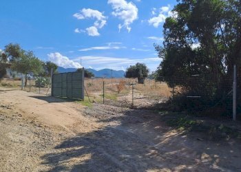 fronte principale (4).jpg - Terreno agricolo Quartucciu - foto 1