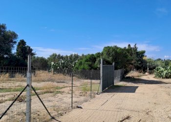 fronte principale (3).jpg - Terreno agricolo Quartucciu - foto 5