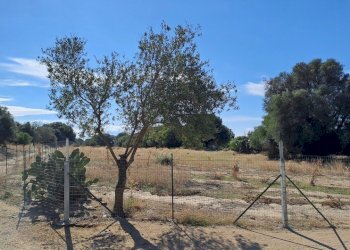 fronte principale lato est.jpg - Terreno agricolo Quartucciu - foto 7