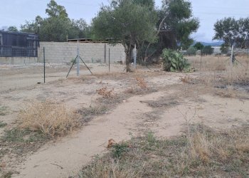 fianco ingresso.jpg - Terreno agricolo Quartucciu - foto 8