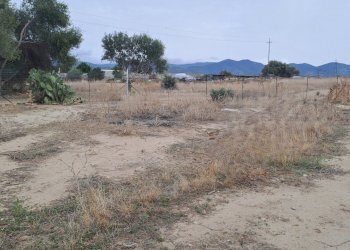 confine lato est (1).jpg - Terreno agricolo Quartucciu - foto 9