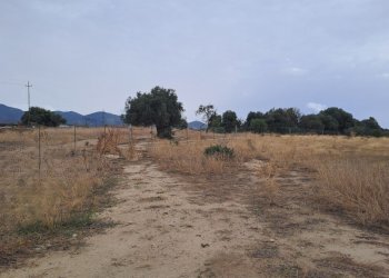 verso il centro (1).jpg - Terreno agricolo Quartucciu - foto 12