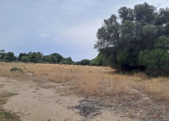 verso il centro (3).jpg - Terreno agricolo Quartucciu - foto 14