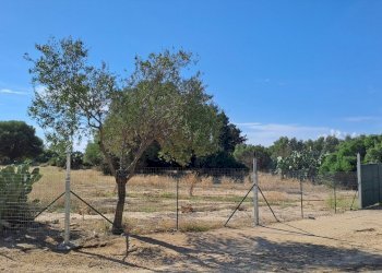 fronte principale (1).jpg - Terreno agricolo Quartucciu - foto 15