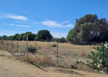 lato est.jpg - Terreno agricolo Quartucciu - foto 17