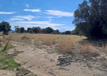 verso confine est.jpg - Terreno agricolo Quartucciu - foto 18