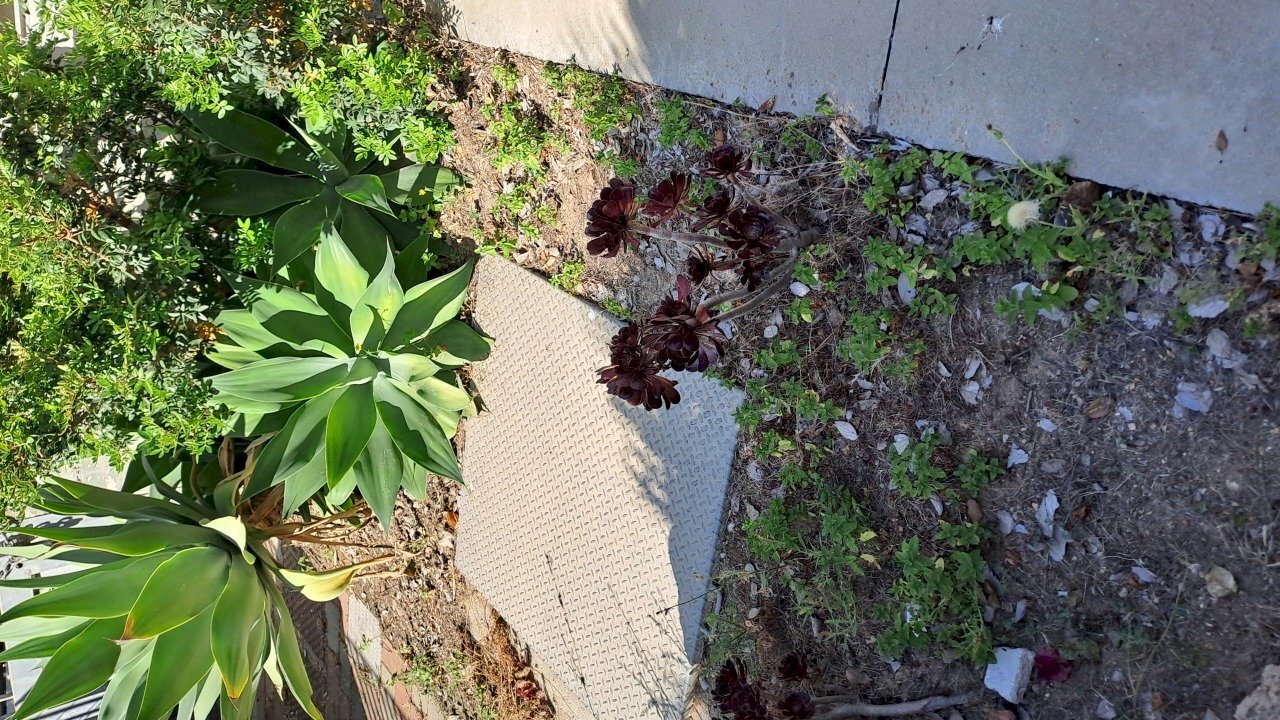 filtro olio.jpg - Locale Commerciale Quartu Sant'Elena - foto 3