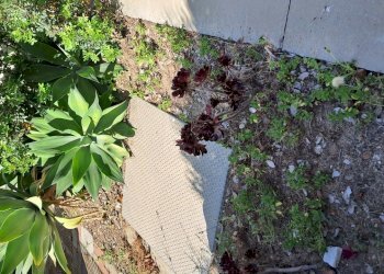 filtro olio.jpg - Locale Commerciale Quartu Sant'Elena - foto 3