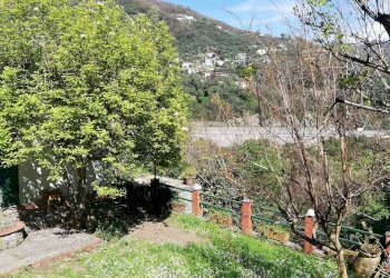 Giardino - Villa Bifamiliare Via Sotto la Croce, Rapallo - foto 12