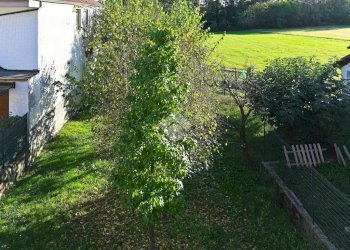 Casa semi indipendente Località Sopetto, San Carlo Canavese - foto 9