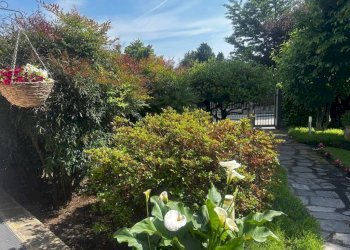 Giardino - Villa via Erbamolle, Azzate - foto 7