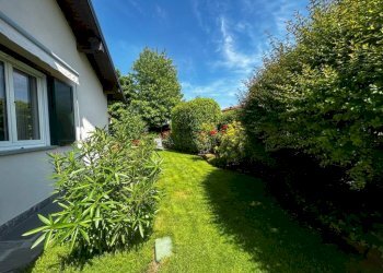 Giardino - Villa via Erbamolle, Azzate - foto 50