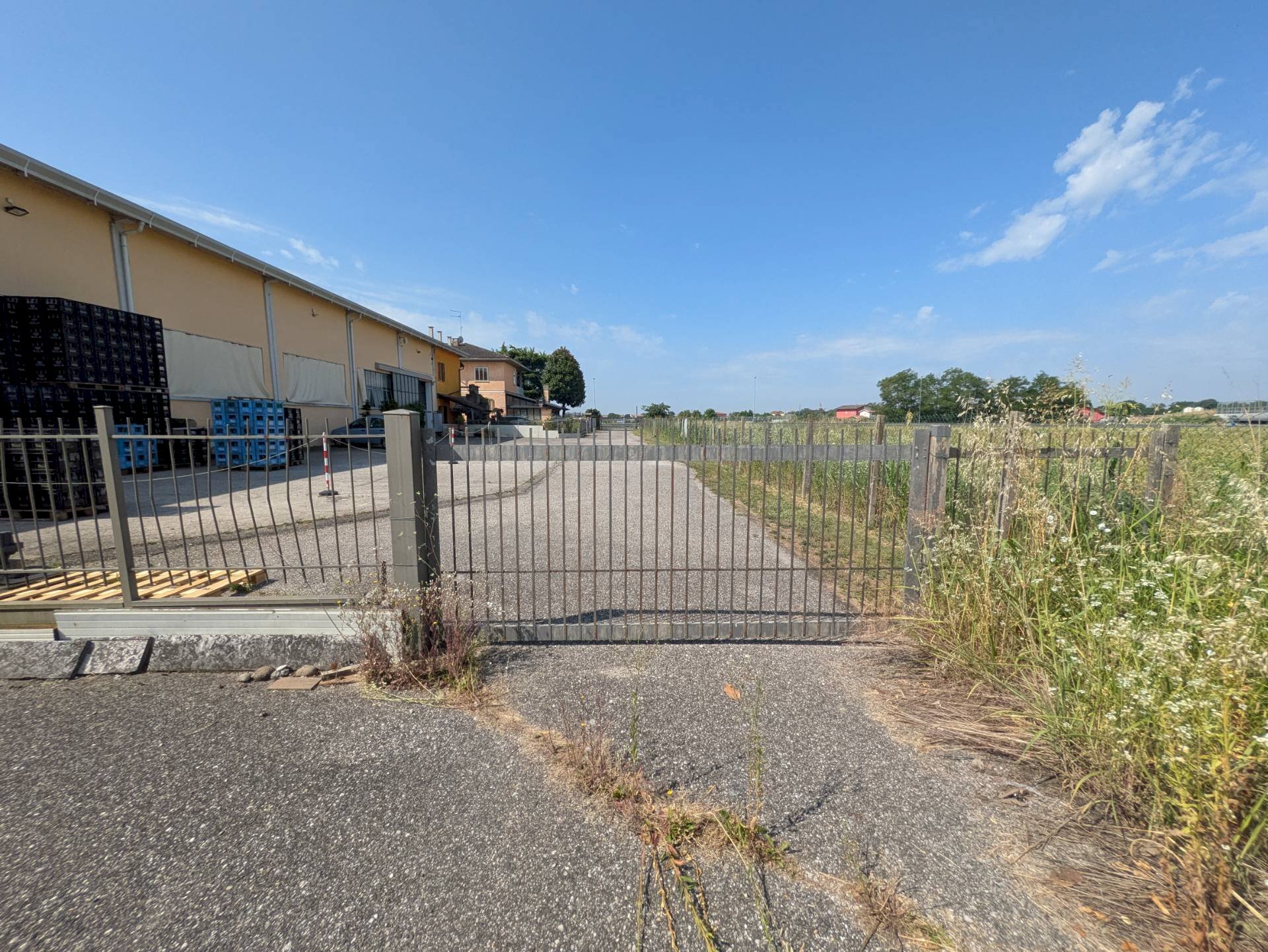 Foto 2 - Magazzino Zevio - foto 2