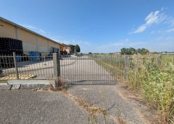 Foto 2 - Magazzino Zevio - foto 2