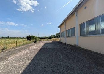 Foto 3 - Magazzino Zevio - foto 3