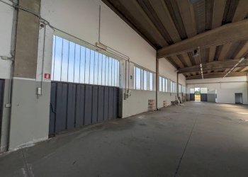 Foto 12 - Magazzino Zevio - foto 12