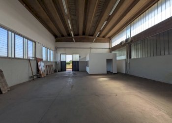 Foto 14 - Magazzino Zevio - foto 14