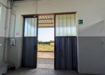 Foto 15 - Magazzino Zevio - foto 15