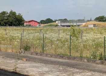 Foto 16 - Magazzino Zevio - foto 16