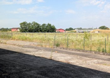 Foto 17 - Magazzino Zevio - foto 17