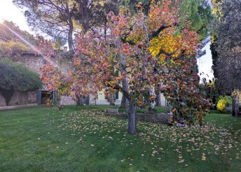 Foto 54 - Villa Località Pozzol, Torri del Benaco - foto 54