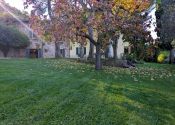 Foto 55 - Villa Località Pozzol, Torri del Benaco - foto 55