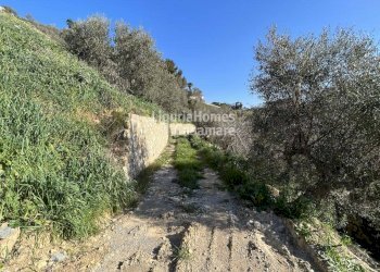 Foto 7 - Villa Via Fanny Roncati Carli, Imperia - foto 7