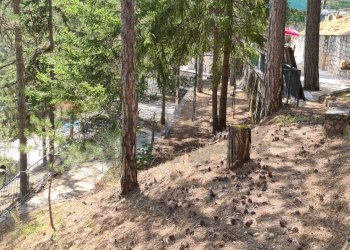 Giardino - Villa Via Pescara
 
29/31, Scanno - photo 40