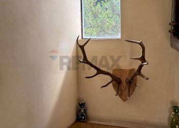 Dettagli - Villa Via Pescara
 
29/31, Scanno - photo 99