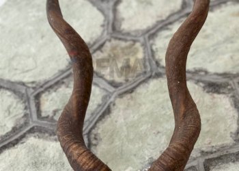 Dettagli - Villa Via Pescara
 
29/31, Scanno - photo 119