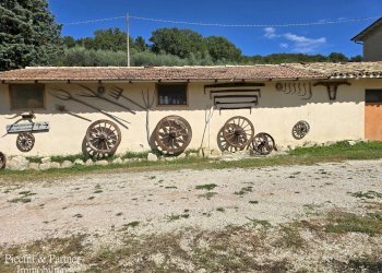 03.jpg - Rustic SR 444 Pian della Pieve, Assisi - photo 3