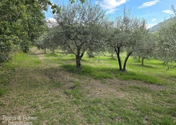 07.jpg - Rustic SR 444 Pian della Pieve, Assisi - photo 7