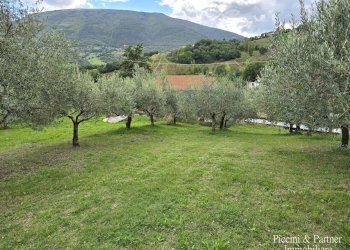 08.jpg - Rustic SR 444 Pian della Pieve, Assisi - photo 8