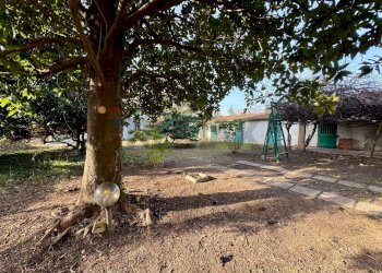 Giardino - Rustico VIA GERVASUTTA
 
55, Udine - foto 6