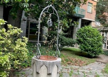 Giardino - Casa indipendente corso Torino, 22, Novara - foto 20
