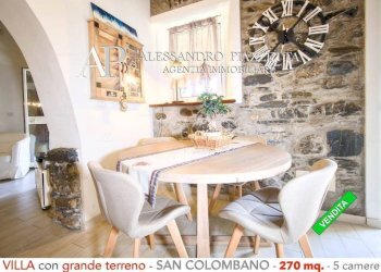 Salone - Villa San Colombano Certenoli - photo 14